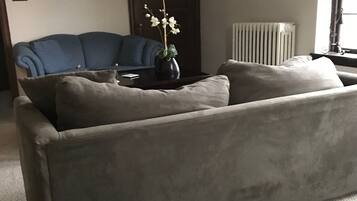 Smart TV, fireplace, books