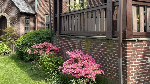 A brick house with a wooden porch and a small garden with pink flowers.