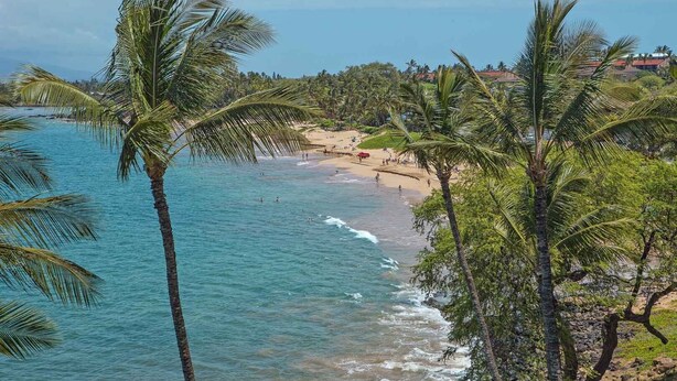 Una playa con aguas turquesas cristalinas, palmeras y una orilla arenosa.