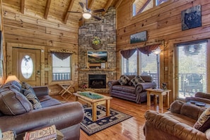 TV, fireplace, video games, DVD player