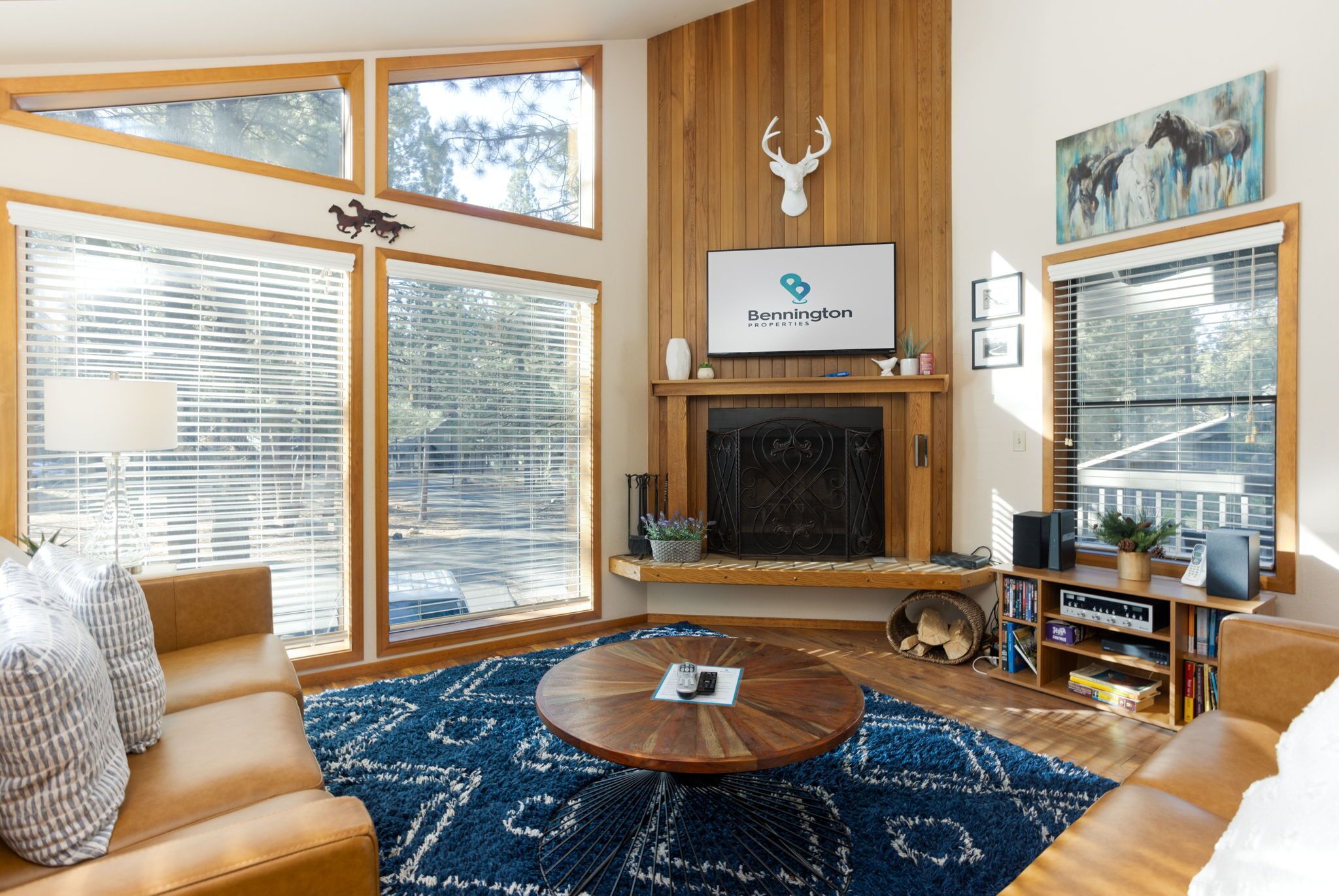 Smart-TV, peis og DVD-spiller