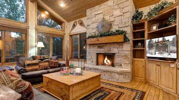 TV, fireplace, offices