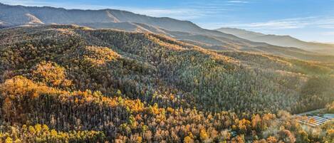 Een bergachtig landschap met dichte bossen en een weg die erdoorheen loopt.