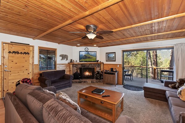 TV, fireplace, video games, DVD player