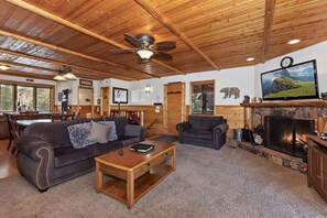 TV, fireplace, video games, DVD player