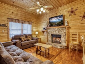 TV, fireplace, DVD player