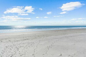 Playa en los alrededores 