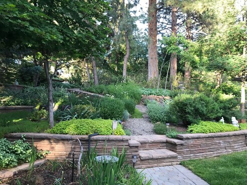 Immaculate Downtown Cottage Retreat- EV charger