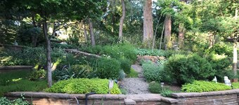 Immaculate Downtown Cottage Retreat- EV charger. Walk downtown in 4 minutes 