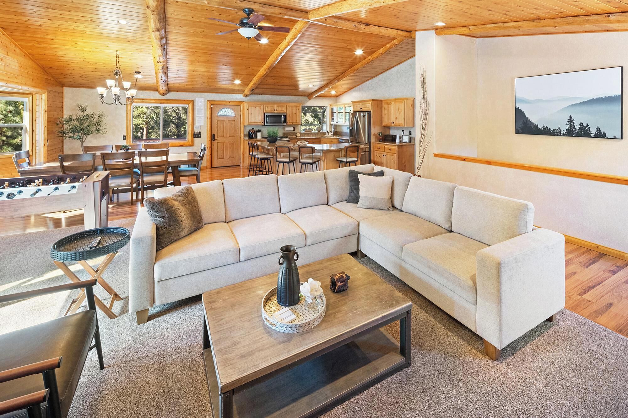 Tv, pejs, bordfodbold