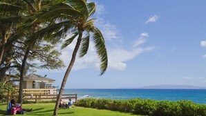 A beachfront property with a wooden deck, a palm tree, and a view of the ocean.