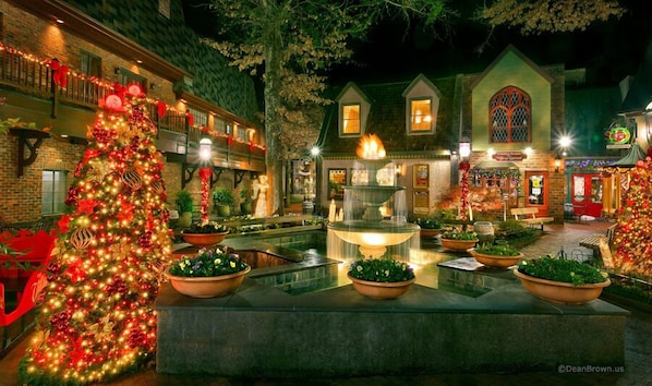 Enjoy the festive atmosphere at The Greenhouse, surrounded by lush plants and a beautifully lit Christmas tree.