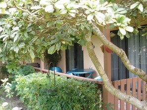 Property grounds - BEACHFRONT COMPLEX-1st FLOOR & FULLY RENOVATED! (South Padre Island)