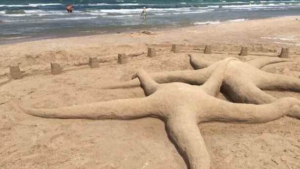 Een zandstrand met een groot zandbeeld van een zeemonster.