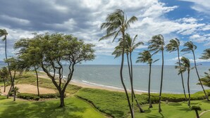 A coastal landscape with palm trees, a beach, and a golf course.