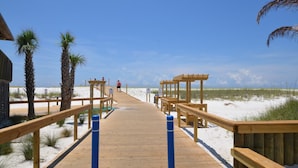 Une promenade en bois mène à une zone de plage bordée de palmiers et abritant une structure en bois.