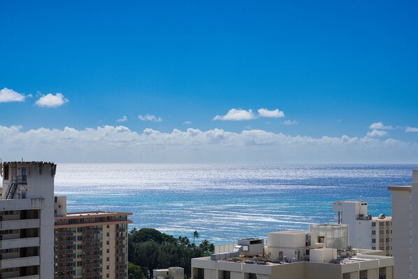 Beach/ocean view