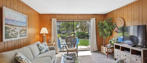 Televisión, reproductor de DVD