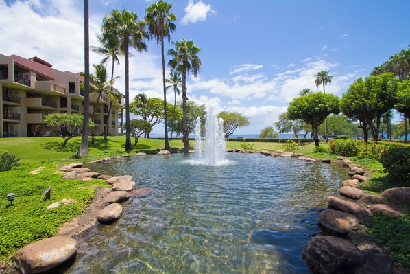 A clear pond with a central fountain, surrounded by rocks and lush greenery, with a building in the background. - Upgraded Kamaole Sands Condo – A/C, Lanai, Walk to Beach & Pool! (Kihei)