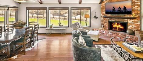 Télévision, cheminée, lecteur de DVD