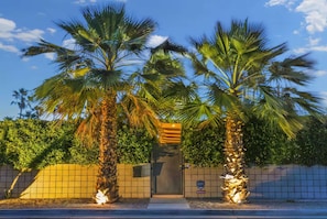 A gated entrance with palm trees, a tiled wall, and a door.