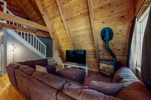 TV, fireplace, books, music library