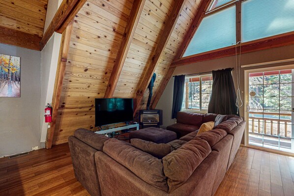 TV, fireplace, books, music library