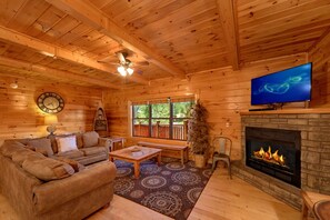 TV, fireplace, DVD player, stereo