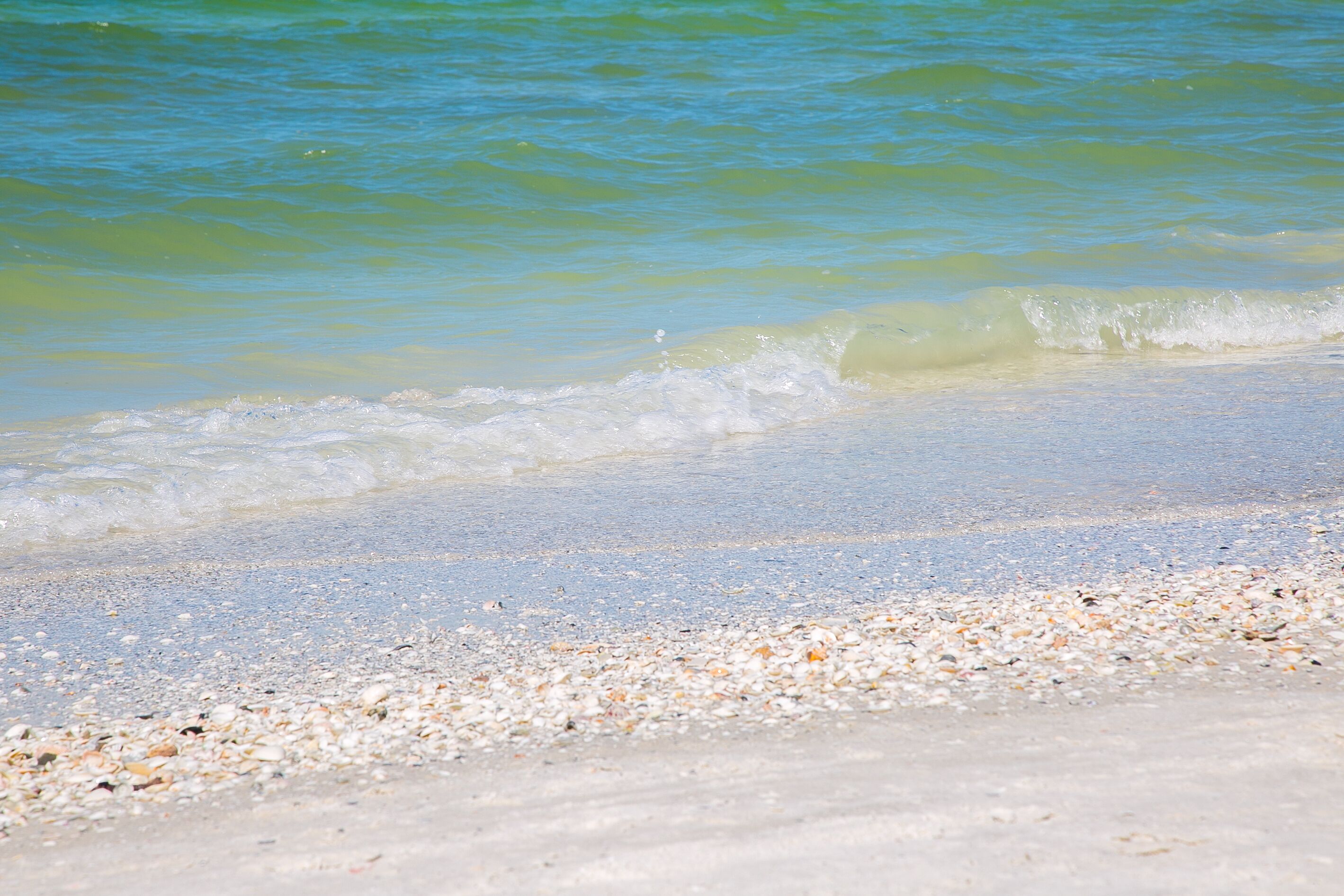 A beach with clear water and a sandy shore.