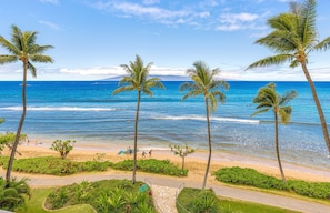 A beach with palm trees, a clear sky, and the ocean. - Maui Resort Rentals: Marriott's Maui Ocean Club 2 BR Oceanfront Suite (Lahaina)