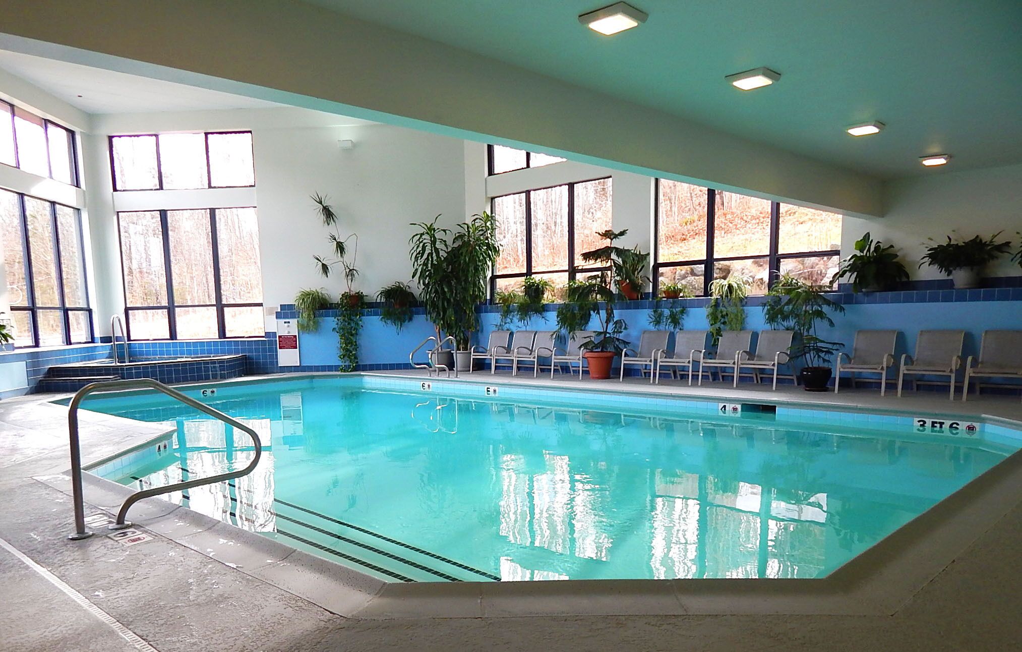 An indoor swimming pool with clear blue water, surrounded by windows and potted plants.