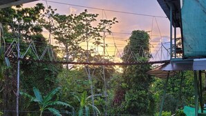 Een overzicht van een weelderige tuin met diverse bomen en planten, een houten brug en een metalen constructie erboven.