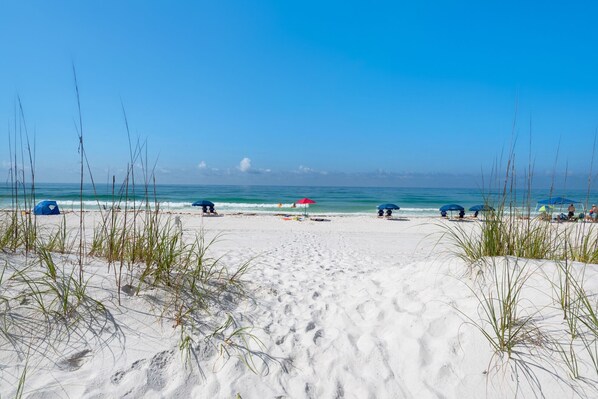 On the beach, sun-loungers