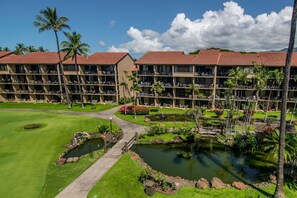 Exterior - Unique 3bd condo, gourmet kitchen and sunset views (Lahaina)