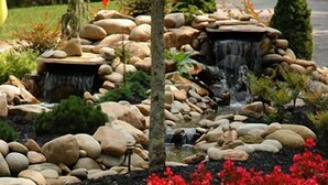 A garden with a small stream, rocks, and red foliage. - Serenity Lodge: Theater, Gameroom, Hot Tub (Gatlinburg)