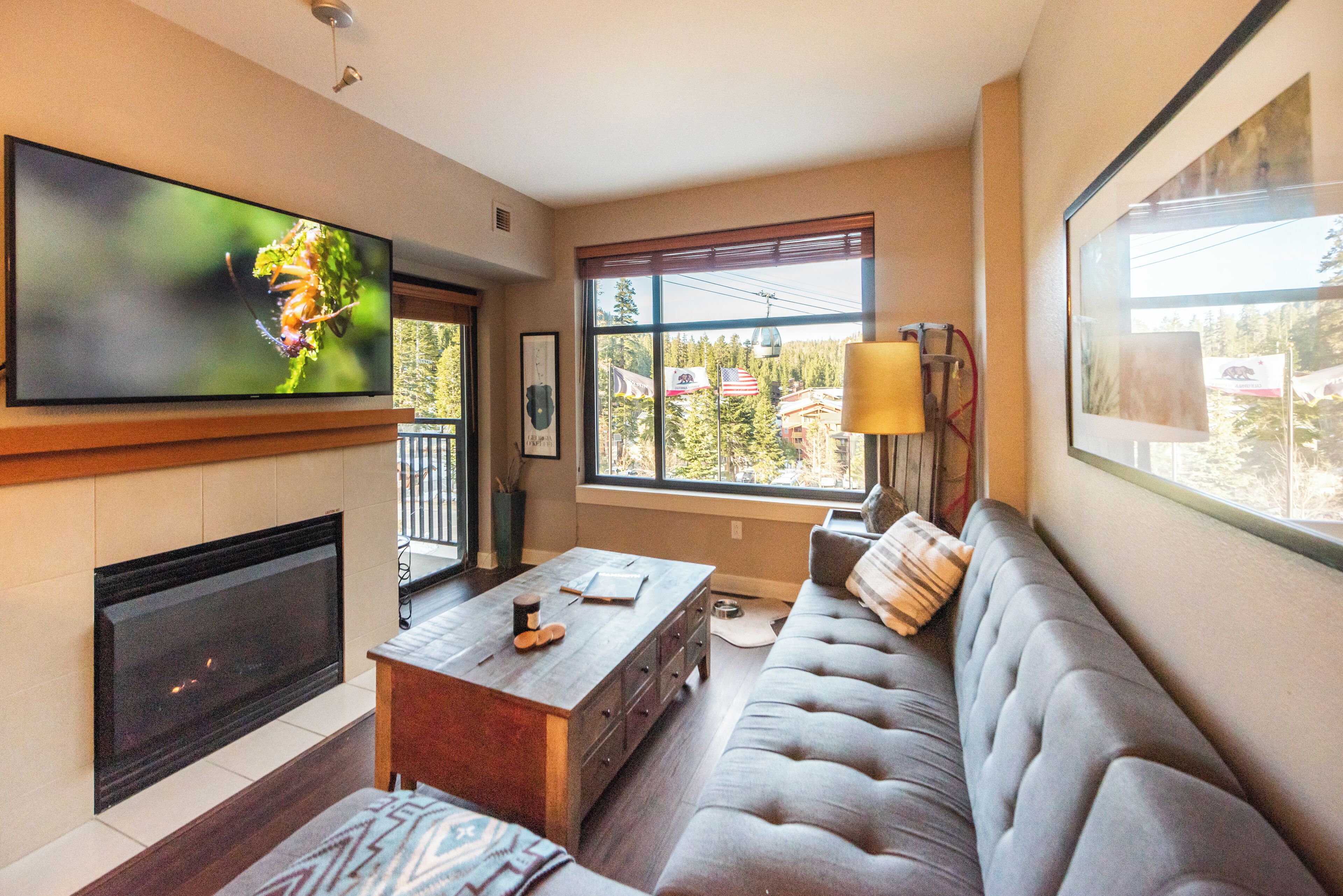 Smart TV, fireplace, books