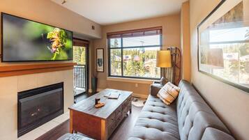 Smart TV, fireplace, books