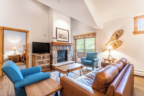 电视、壁炉、DVD 播放器