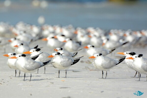 Am Strand