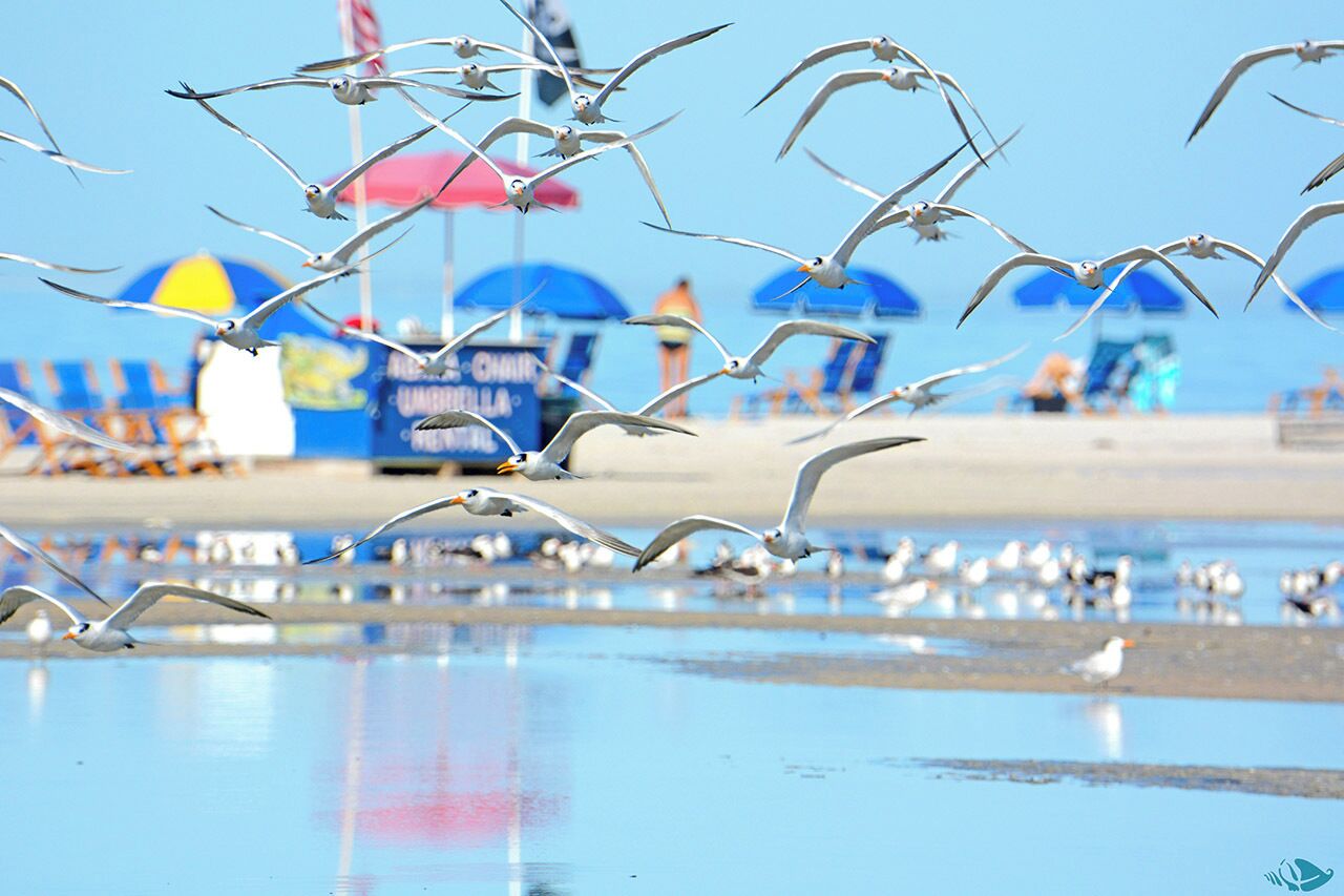 On the beach
