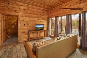 Smart TV, fireplace, DVD player