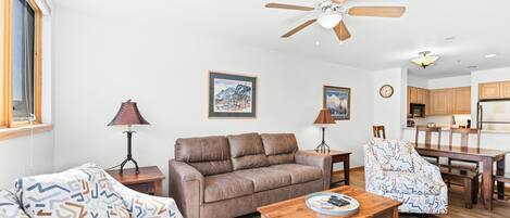 电视、壁炉、DVD 播放器