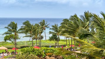 A tropical resort with palm trees, a beach, and a view of the ocean.