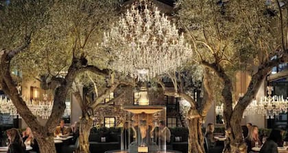 Prime Napa Location: No Resort Fees, Pets Welcome!
