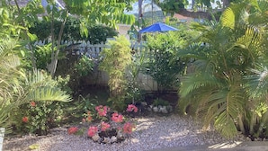 A garden with various plants and a blue umbrella.