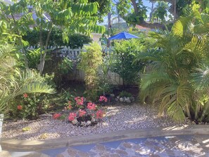 Property grounds - COTTAGE BY THE SEA - steps from Beach -chef included - THE YELLOW CANARY (Duncans Bay)