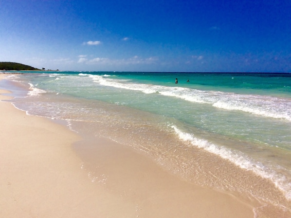 On the beach, sun loungers - COTTAGE BY THE SEA - steps from Beach -chef included - THE YELLOW CANARY (Duncans Bay)