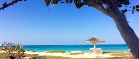 On the beach, sun-loungers