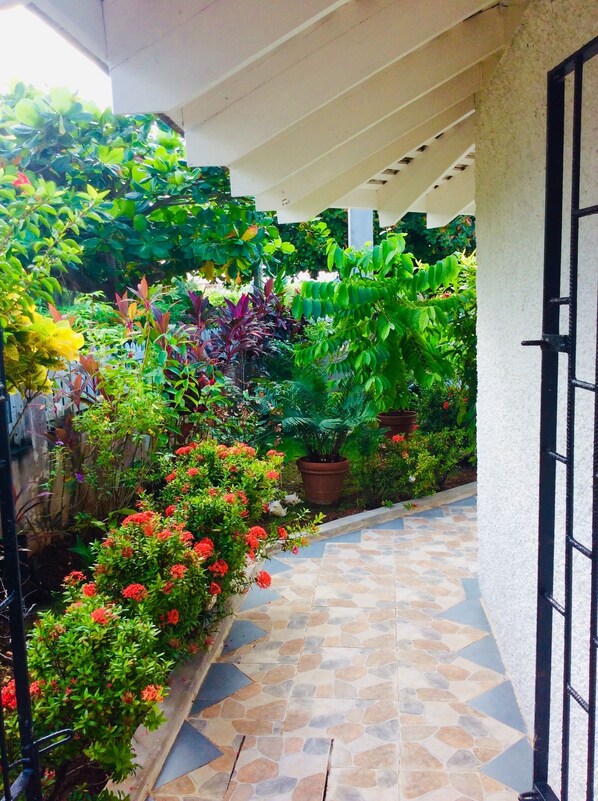 Property grounds - THE YELLOW CANARY PARADISE VILLA - steps from Beach -chef included - (Duncans Bay)