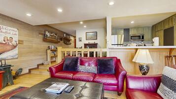 Télévision, cheminée, lecteur de DVD, table de tennis de table